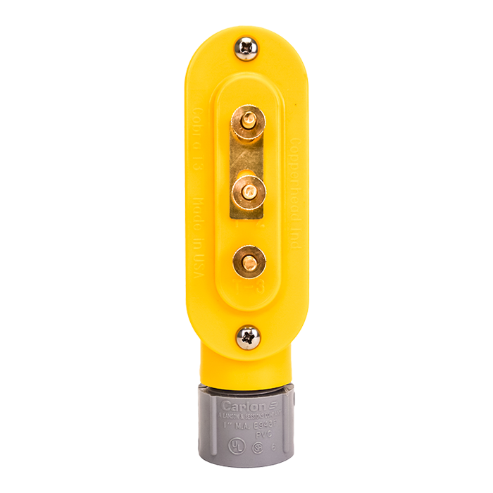 Access Point - Cobra™